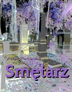 Okładka: Smętarz. historia tragiczna niewinnej dziewczyny