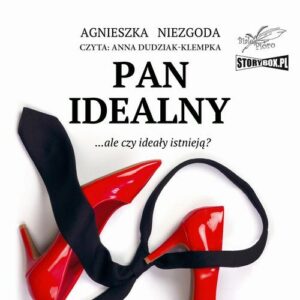 Okładka: Pan Idealny
