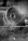 Okładka: Lost in Passion T.1 Cheat Destiny