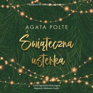 Okładka: Świąteczna usterka