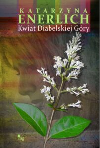 Okładka: Kwiat Diabelskiej Góry