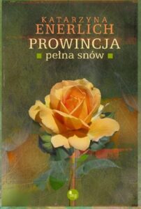 Okładka: Prowincja pełna snów