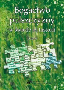 Okładka: Bogactwo polszczyzny w świetle jej historii. T. 6