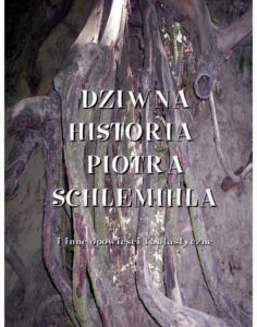 Okładka: Dziwna historia Piotra Schlemichla i inne opowieści fantastyczne