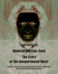 Okładka: Niedoświadczony Duch. The Story of the Inexperienced Ghost