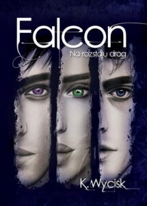 Okładka: Falcon Na rozstaju dróg Tom 2