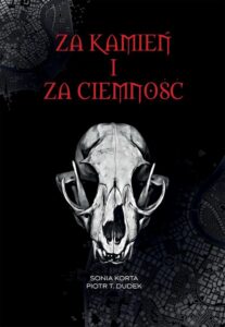 Okładka: Za kamień i za ciemność