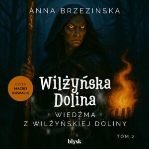 Okładka: Wiedźma z Wilżyńskiej Doliny