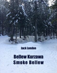 Okładka: Bellew Kurzawa. Smoke Bellew