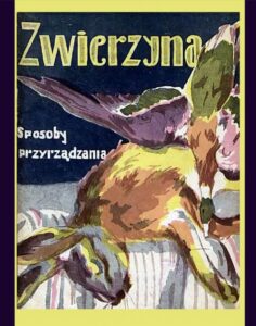 Okładka: Zwierzyna. Sposoby przyrządzania