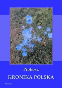 Okładka: Kronika polska Prokosza