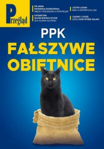 Okładka: Przegląd. 13