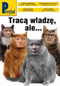 Okładka: Przegląd. 43