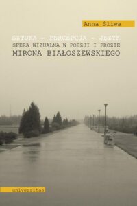 Okładka: Sztuka Percepcja Język. Sfera wizualna w poezji i prozie Mirona Białoszewskiego
