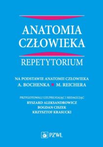 Okładka: Anatomia człowieka. Repetytorium