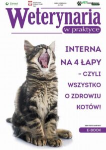 Okładka: Interna na 4 łapy – czyli wszystko o zdrowiu kotów