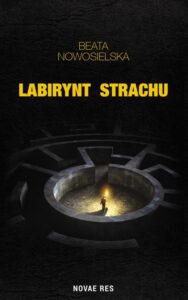 Okładka: Labirynt strachu