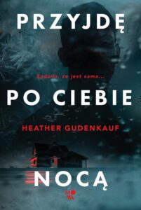 Okładka: Przyjdę po ciebie nocą
