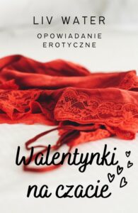 Okładka: Walentynki na czacie. Opowiadanie erotyczne