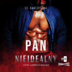 Okładka: Pan Nieidealny