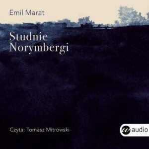 Okładka: Studnie Norymbergi