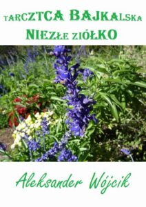 Okładka: Tarczyca bajkalska – niezłe ziółko