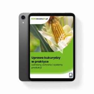 Okładka: Uprawa kukurydzy w praktyce – odmiany, ochrona i systemy produkcji