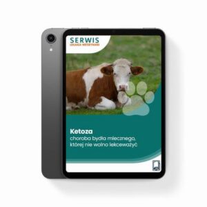 Okładka: Ketoza – choroba bydła mlecznego, której nie wolno lekceważyć