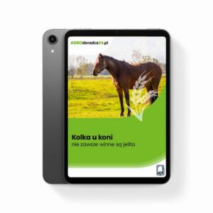 Okładka: Kolka u koni – nie zawsze winne są jelita