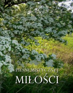 Okładka: Pieśni mistycznej miłości