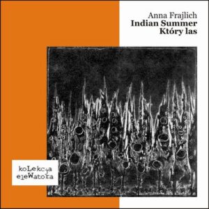 Okładka: Indian Summer / Który las