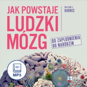 Okładka: Jak powstaje ludzki mózg. Od zapłodnienia do narodzin