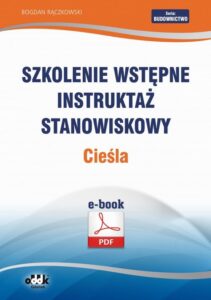 Okładka: Szkolenie wstępne Instruktaż stanowiskowy Cieśla