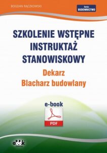 Okładka: Szkolenie wstępne Instruktaż stanowiskowy Dekarz. Blacharz