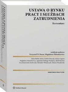 Okładka: Ustawa o rynku pracy i służbach zatrudnienia. Komentarz