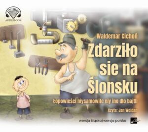 Okładka: Zdarziło sie na Ślonsku. Łopowieści niysamowite niy ino dlo bajtli