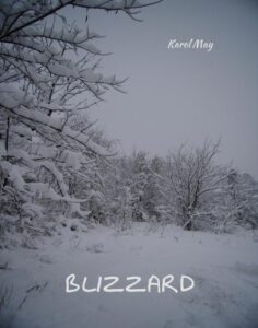 Okładka: Blizzard