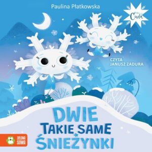 Okładka: Dwie takie same śnieżynki