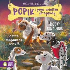 Okładka: Popik i jego wielkie przygody. Dobry rozbójnik