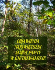 Okładka: Objawienia Najświętszej Maryi Panny W Gietrzwałdzie. Ze źródeł autentycznych