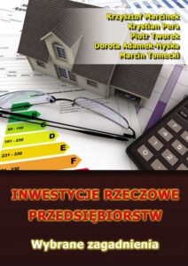Okładka: Inwestycje rzeczowe przedsiębiorstw. Wybrane zagadnienia
