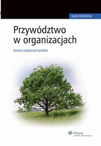 Okładka: Przywództwo w organizacjach. Analiza najlepszych praktyk