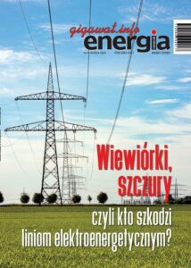 Okładka: Energia Gigawat 9-10/2024