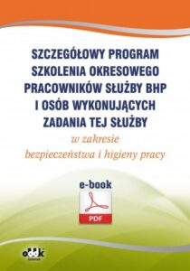 Okładka: Szczegółowy program szkolenia okresowego pracowników służby bhp i osób wykonujących zadania tej służby w zakresie bezpieczeństwa i higieny pracy (e-book)