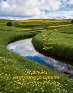 Okładka: Powieści Józefa Ignacego Kraszewskiego. Tom 29