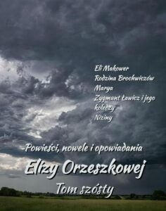 Okładka: Powieści, nowele i opowiadania Elizy Orzeszkowej. Tom VI