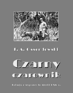 Okładka: Czarny czarownik. Relacja z wyprawy do Afryki 1926 r.