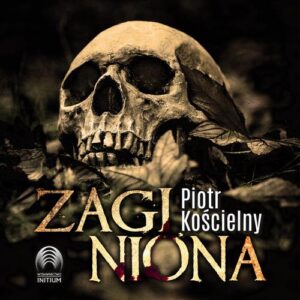Okładka: Zaginiona