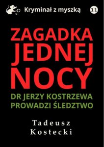 Okładka: Zagadka jednej nocy