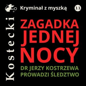 Okładka: Zagadka jednej nocy